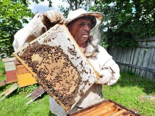 Пчеловодство для обеспечения продовольственной безопасности страны