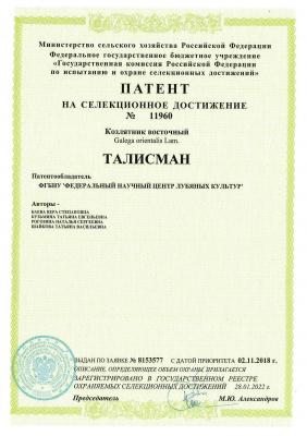 Патент на СД №11960 Выдан 28.01.2022