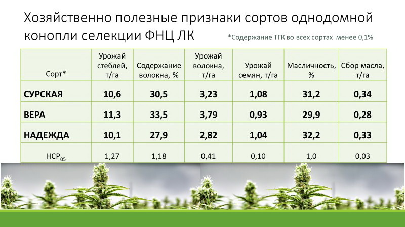 Урожай конопли в россии сколько часов света надо конопли
