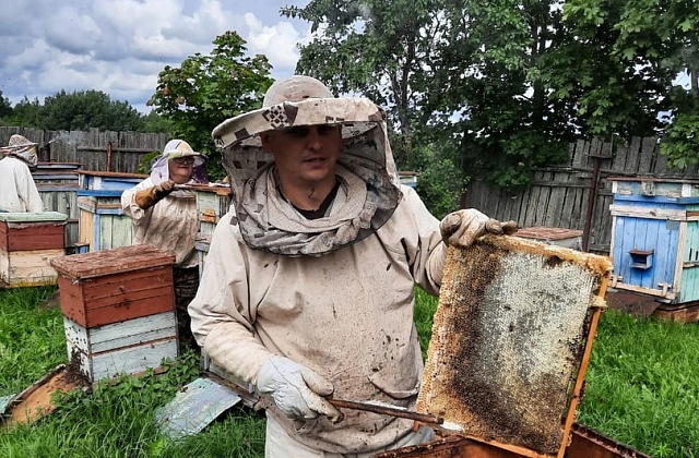 Пчеловодство для обеспечения продовольственной безопасности страны